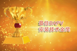 BAPVbg