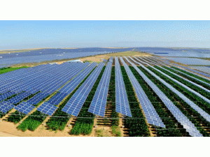 ɽ2025ڶMUֹ7LĿҎģ352.052MW