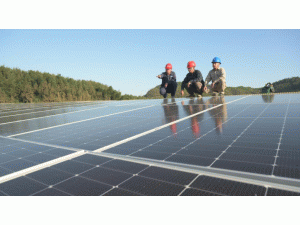 ϾW(wng)Դ2023AӋֲʽĿӋbCs1910MW