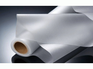 bƄӹEVArqq248Ԫ/